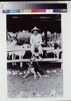 藏品(忠心)的圖片