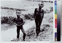 藏品(頑童)的圖片