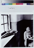 藏品(閱讀聖經)的圖片