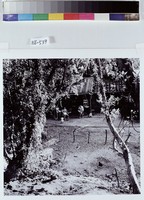 藏品(農暇)的圖片