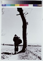 藏品(台灣人、你要到哪去？)的圖片