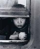 藏品(凝視)的圖片