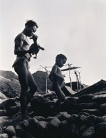 藏品(同步情深)的圖片