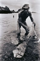 藏品(豐收)的圖片