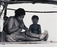 藏品(慈母線)的圖片