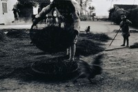 藏品(簸篩)的圖片