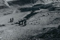 藏品(歸樵)的圖片