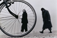 藏品(寒意)的圖片