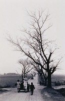 藏品(歸途)的圖片