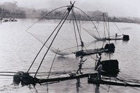 藏品(愛河漁夫)的圖片