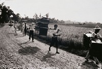 藏品(素蘭要出嫁)的圖片