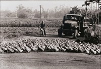 藏品(讓路)的圖片