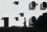 藏品(獵影)的圖片