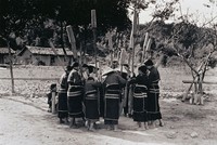 藏品(杵歌)的圖片