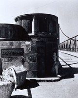 藏品(息肩)的圖片