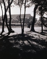 藏品(冬晨散步)的圖片