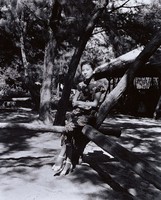 藏品(穿旗袍的小姐)的圖片