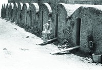 藏品(挑磚)的圖片