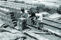 藏品(磚場童工)的圖片