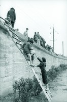 藏品(上堤防)的圖片