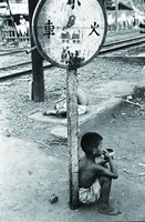 藏品(平交道)的圖片