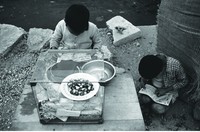 藏品(賣檳榔的小孩)的圖片