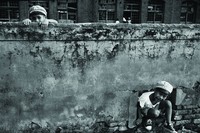 藏品(翻牆鑽洞)的圖片