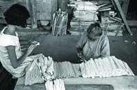 藏品(衛生筷代工)的圖片