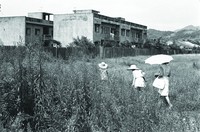 藏品(訪友)的圖片