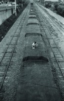 藏品(火車頂的乘客)的圖片