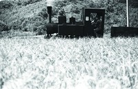 藏品(糖廠火車)的圖片