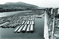 藏品(愛河原木)的圖片