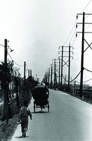 藏品(三輪車)的圖片