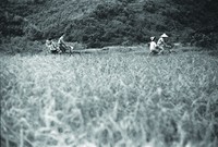 藏品(單車雙載)的圖片