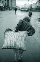 藏品(提大提袋)的圖片