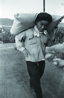 藏品(背重物)的圖片