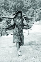 藏品(原住民婦人背柴)的圖片