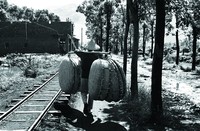 藏品(挑竹簍)的圖片