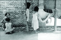 藏品(臨時嬰兒吊床)的圖片