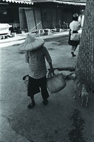 藏品(老婦人)的圖片