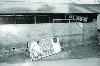 藏品(招牌)的圖片