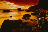 藏品(影西灣)的圖片