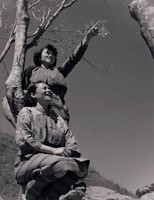 藏品(山地姑娘)的圖片