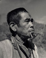 藏品(久歷風霜)的圖片