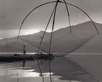 藏品(張網待魚兒)的圖片