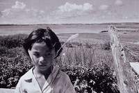 藏品(島嶼童顏)的圖片