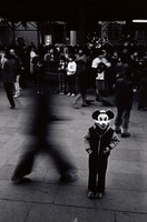 藏品(米老鼠)的圖片