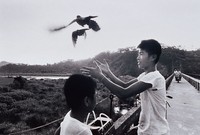 藏品(人與土地)的圖片