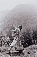 藏品(四季)的圖片