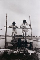 藏品(踩水車的姊妹)的圖片